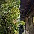 「太陽光パネルへの影響を防ぐための庭木剪定｜発電効率低下対策のご依頼」